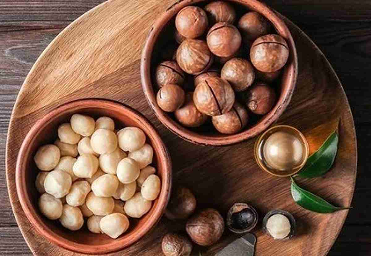 تصویر 2 از قیمت مغز فندق جنگلی + خرید باورنکردنی